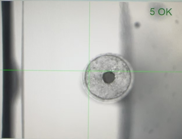 High-Resolution Optical Inspection System